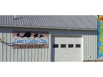 Casey's Canine Clips